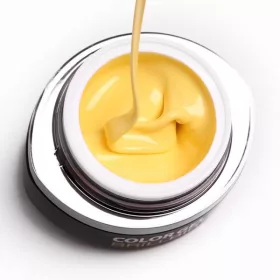 BrillBird Brush&Go színes zselé - GO 09 - 4,5ml TF