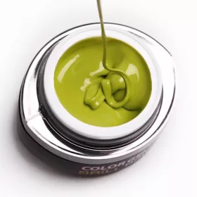 BrillBird Brush&Go színes zselé - GO 22 - 4,5ml TF