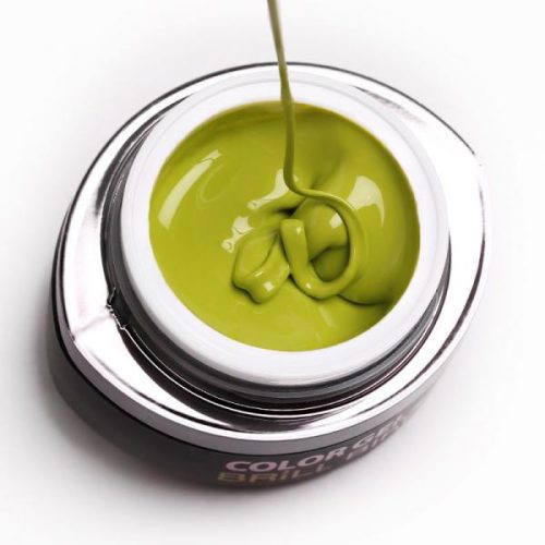 BrillBird Brush&Go színes zselé - GO 22 - 4,5ml