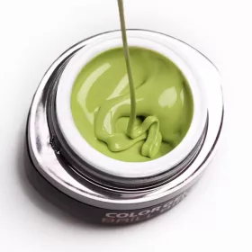 BrillBird Brush&Go színes zselé - GO 28 - 4,5ml TF