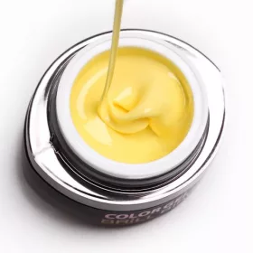 BrillBird Brush&Go színes zselé - GO 39 - 4,5ml TF