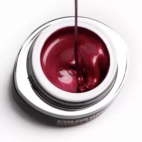 BrillBird Brush&Go színes zselé - GO 45 - 4,5ml TF