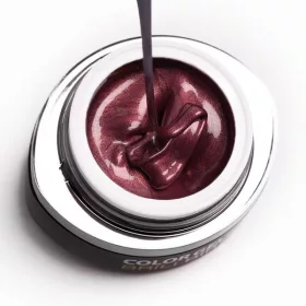 BrillBird Brush&Go színes zselé - GO 49 - 4,5ml TF