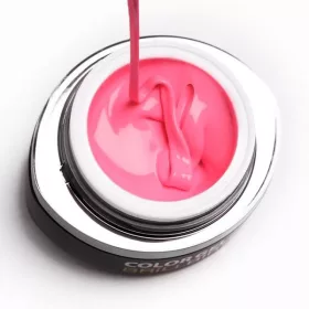 BrillBird Brush&Go színes zselé - GO 55 - 4,5ml TF