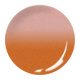 BrillBird Thermo gél lakk T10 - 5ML