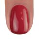 BrillBird Color gél lakk C23 - 5ml