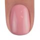 BrillBird Color gél lakk C49 - 5ml