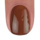 BrillBird Color gél lakk C53 - 5ml