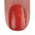 BrillBird Color gél lakk C66 - 5ml