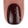 BrillBird Color gél lakk C67 - 5ml