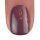 BrillBird Color gél lakk C71 - 5ml