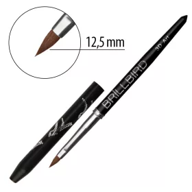 BrillBird 3D ART ECSET