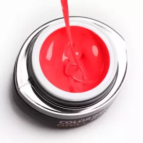 BrillBird Brush&Go színes zselé - GO 60 - 4,5ml TF