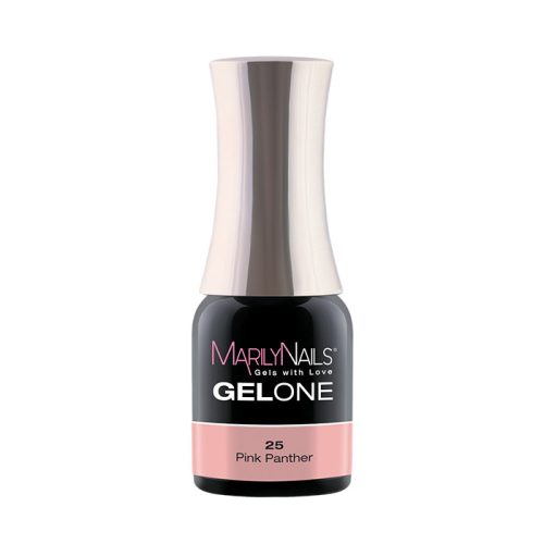 GelOne - 25 4ml