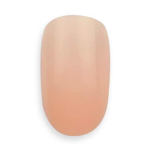 BrillBird Nude NailArt Tip