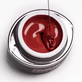 BrillBird Brush&Go színes zselé - GO 79 - 4,5ml TF