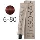 Schwarzkopf Igora Royal Absolutes krémhajfesték 60ml - 6-80