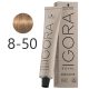 Schwarzkopf Igora Royal Absolutes krémhajfesték 60ml - 8-50