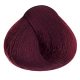 Alfaparf Evolution of the Color hajfesték - 4.66i 60ml