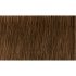 Indola Professional PCC tartós hajfesték 60ml - 5.3
