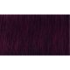 Indola Professional PCC tartós hajfesték 60ml - 5.77x