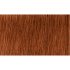 Indola Professional PCC tartós hajfesték 60ml - 6.4
