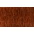 Indola Professional PCC tartós hajfesték 60ml - 6.44