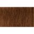 Indola Professional PCC tartós hajfesték 60ml - 6.80