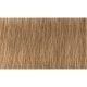 Indola Professional PCC tartós hajfesték 60ml - 7.03