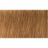 Indola Professional PCC tartós hajfesték 60ml - 7.3