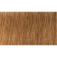 Indola Professional PCC tartós hajfesték 60ml - 7.3