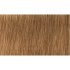 Indola Professional PCC tartós hajfesték 60ml - 7.30