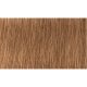 Indola Professional PCC tartós hajfesték 60ml - 8.32