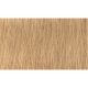 Indola Professional PCC tartós hajfesték 60ml - 9.03