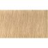 Indola Professional PCC tartós hajfesték 60ml - 9.38