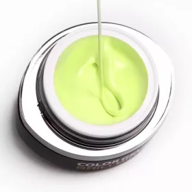 BrillBird Brush&Go színes zselé - GO 89 - 4,5ml TF