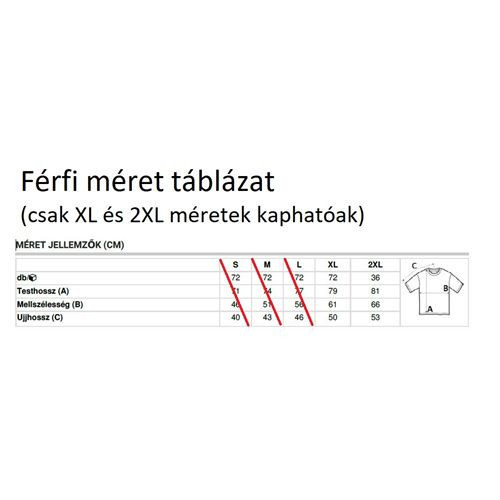 Logózott Férfi Fodrászpóló IP XL méret -AN980