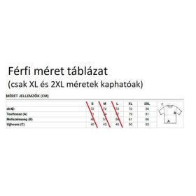 Logózott Férfi Fodrászpóló IP XXL méret -AN980