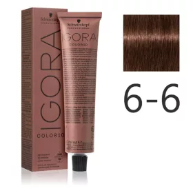 Schwarzkopf Igora Color10 krémhajfesték 60ml - 6-6