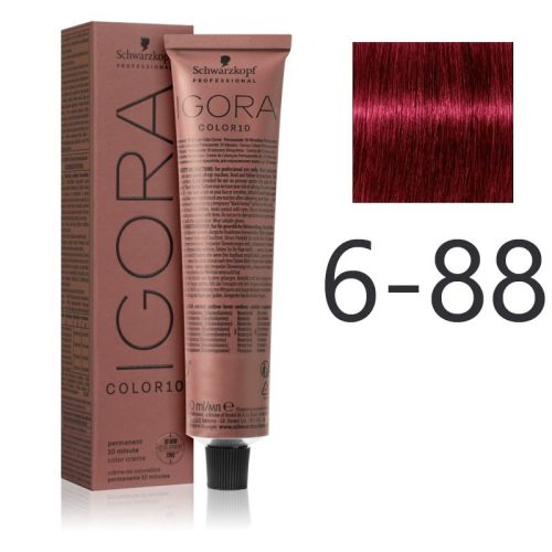 Schwarzkopf Igora Color10 krémhajfesték 60ml - 6-88