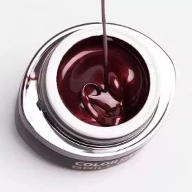 BrillBird Brush&Go színes zselé - GO 95 - 4,5ml TF