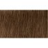 Indola XpressColor hajfesték 60ml - 6.03