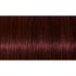 Indola Professional PCC tartós hajfesték 60ml - 4.60