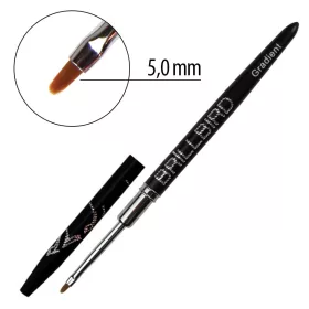 BrillBird Gradient Ecset