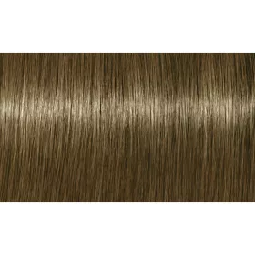 Indola Professional PCC tartós hajfesték 60ml - 8.18