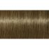 Indola Professional PCC tartós hajfesték 60ml - 8.18