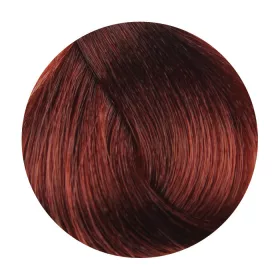 Fanola Color Hajfesték 100ml 5.46