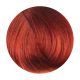 Fanola Color Hajfesték 100ml 6.46