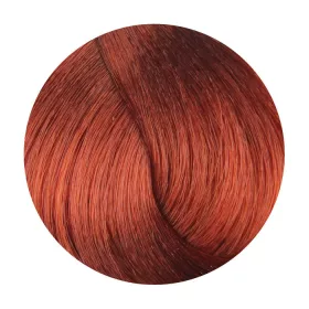 Fanola Color Hajfesték 100ml 8.4