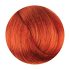 Fanola Color Hajfesték 100ml 8.44